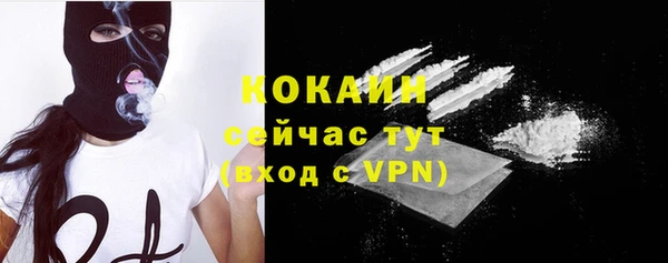 спайс Алексин