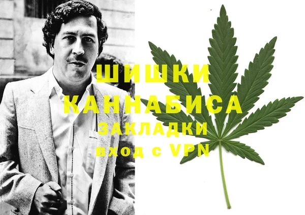 спайс Алексин
