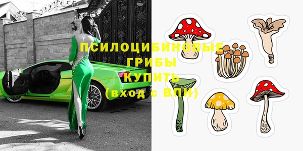 спайс Алексин