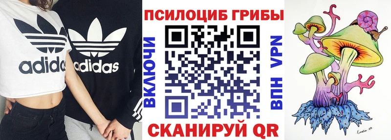 Псилоцибиновые грибы мухоморы  Гдов 