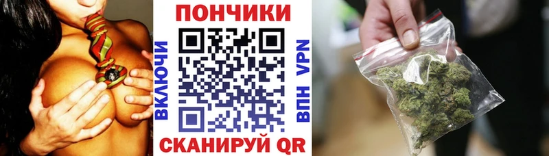 Шишки марихуана планчик  Гдов 